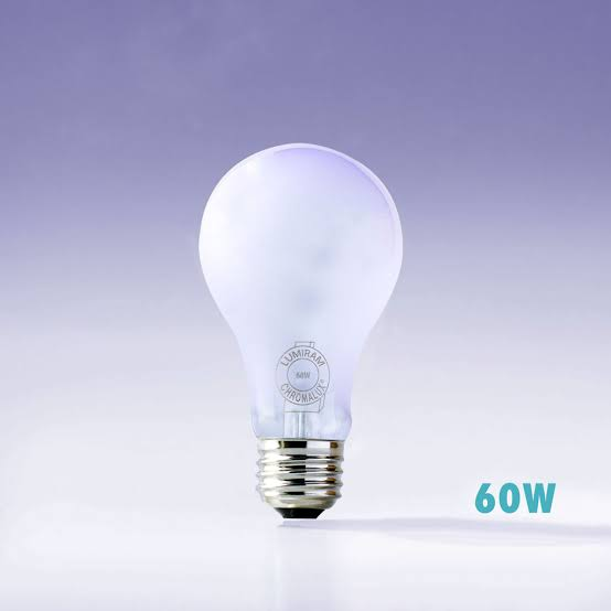 Light Bulbs - Full Spectrum