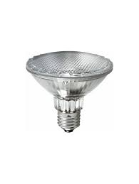 Light bulbs - Halogen - Par30 halogen