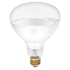 Light bulbs - Incandescent - R40