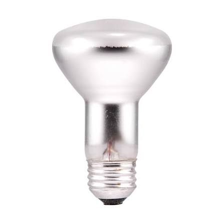 Light bulbs - Incandescent - R20